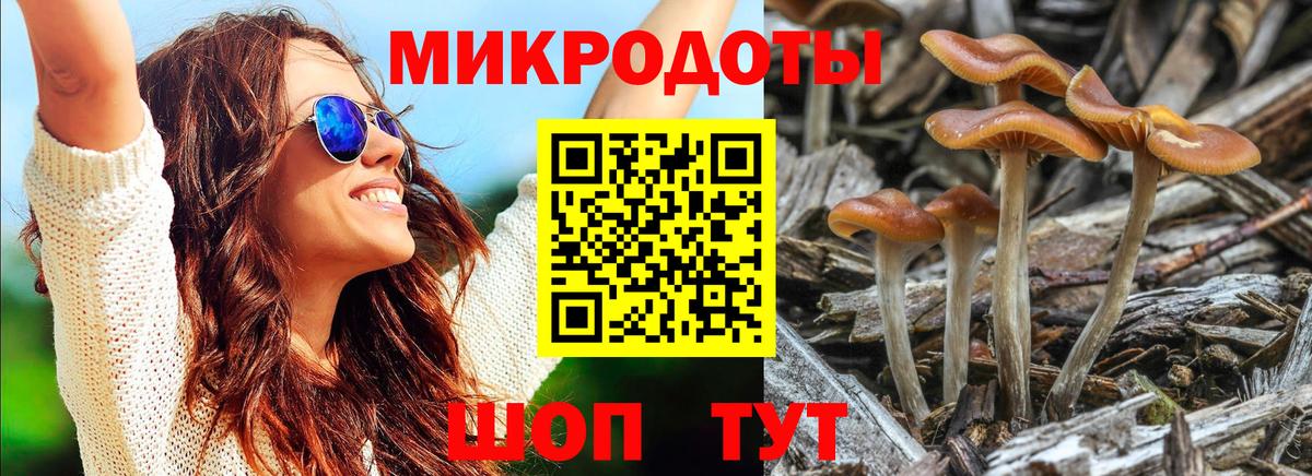 МЕФ Луга