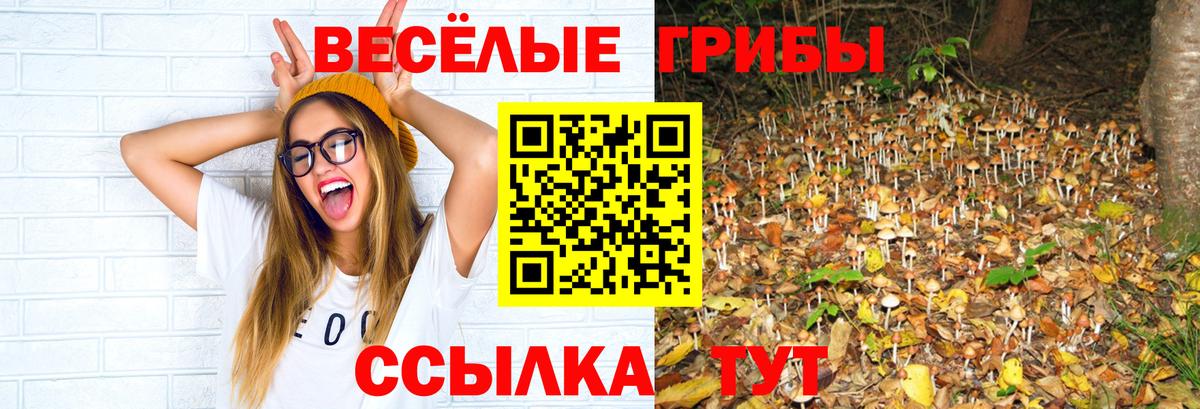 Галлюциногенные грибы мухоморы Луга