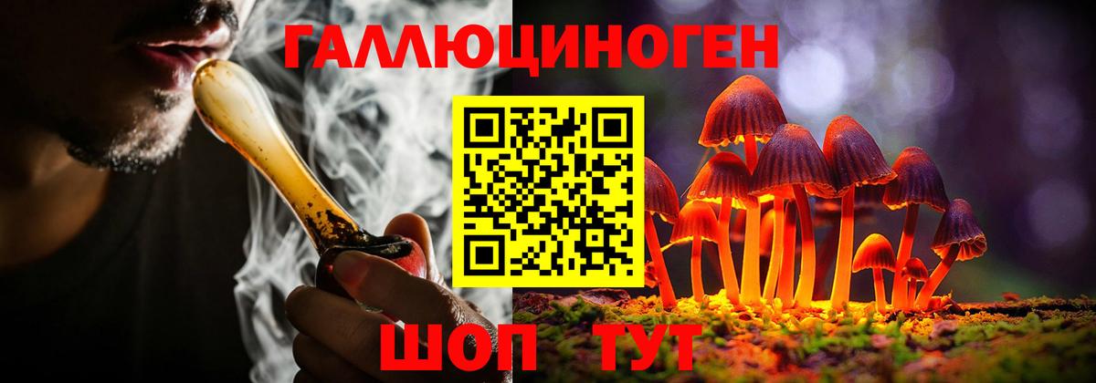 Луга  Галлюциногенные грибы прущие грибы  Вход с VPN 
